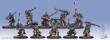 Hordes PIP71042 - Trollblood Fennblade Plastic Unit Box (10) (plastic)