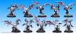 Hordes PIP73048 - Legion Blighted Nyss Grotesque Unit Box