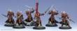 Hordes PIP74009 - Skorne Praetorians Unit Box