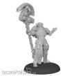 Privateer Press PIP83002 - Paladin Weaver - Warcaster Iron Star Alliance Solo (metal)