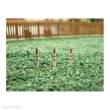 Railway Miniatures RMH0-031 - RMH0:031 Street Bollards - Railway Miniatures