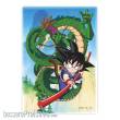 SD Toys SDTDRB25215 - Dragon Ball Magnet Shenron und Goku