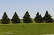 Model Scene SM015 - Fichte 15 mm (10x)