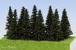 Model Scene SM050 - Fichte 40-60 mm (9x)