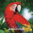 Strohmann Games STRD0044 - Life of the Amazonia