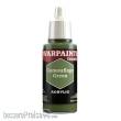 The Army Painter TAPWP3069P - Warpaints Fanatic: Camouflage Green