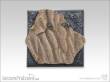 TableTop Art TTA100211 - Shaleground I 50x50mm Monster 1