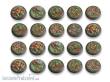 TableTop Art TTA100823 - Woodland Bases - 30mm RL DEAL