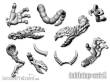 TableTop Art TTA200233 - Goblin Mutationen Set (10)