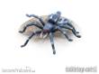 TableTop Art TTA200254 - Gigantische Spinne