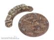 TableTop Art TTA500205 - Kriegsmaschinen Bases 64mm Sandsackstellung 1