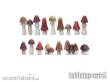 TableTop Art TTA601087 - Mushrooms - Set 1 (16)