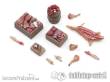 TableTop Art TTA601100 - Metzger Set 1 (12)