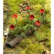 Model Scene VG3-045 - Mohnblumen 1:35