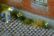 Model Scene VG7-205 - Loewenzahn 1:72 / 1:87