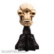 Herr der Ringe Mini Statue Skull of a Cave Troll 21 cm