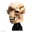 Herr der Ringe Mini Statue Skull of a Cave Troll 21 cm