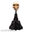 Herr der Ringe Mini Statue Skull of a Moria Orc 13 cm