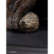 Weta Workshop WETA870104125 - Der Hobbit Statue Radagast the Brown 17 cm