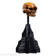 Weta Workshop WETA871304690 - Herr der Ringe Mini Statue Skull of a Misty Mountain Goblin 14 cm