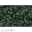 Woodland Scenics WFC137 - Beflockungsmaterial dunkelgrün