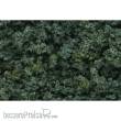 Woodland Scenics WFC1637 - Dark Green Underbrush
