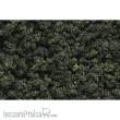 Woodland Scenics WFC1639 - Forest Blend Underbrush