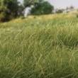 Woodland Scenics WFS626 - 12mm Static Grass Medium Green