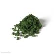 Woodland Scenics WG6463 - Dark Green Foliage Clumps