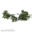 Woodland Scenics WG6481 - Spring Brambles