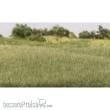Woodland Scenics WG6571 - 4mm Light Green Static Grass