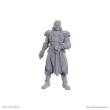 D&D Nolzur´s Marvelous Miniatures Miniatur unbemalt Jaheira & Halsin