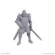 D&D Nolzur´s Marvelous Miniatures Miniatur unbemalt Ulder Ravengard & Zevlor