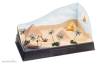 Woodland Scenics WSP4136 - BAUSATZ PYRAMID
