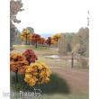 Woodland Scenics WTR1576 - 23 St. Herbst-Mischung 2in. - 3in.