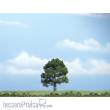 Woodland Scenics WTR1606 - 1 Eiche 8 cm
