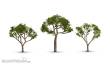Woodland Scenics WTR3525 - Gum Tree 2 1/2” – 3 1/2”