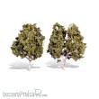 Woodland Scenics WTR3536 - 5 -6 Waters Edge 2/Pk