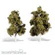 Woodland Scenics WTR3537 - 6 -7 Waters Edge 2/Pk
