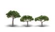 Woodland Scenics WTR3555 - 2.3-3.3 Stone Pine 3/Pkg