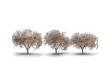 Woodland Scenics WTR3594 - Cherry Blossom Trees